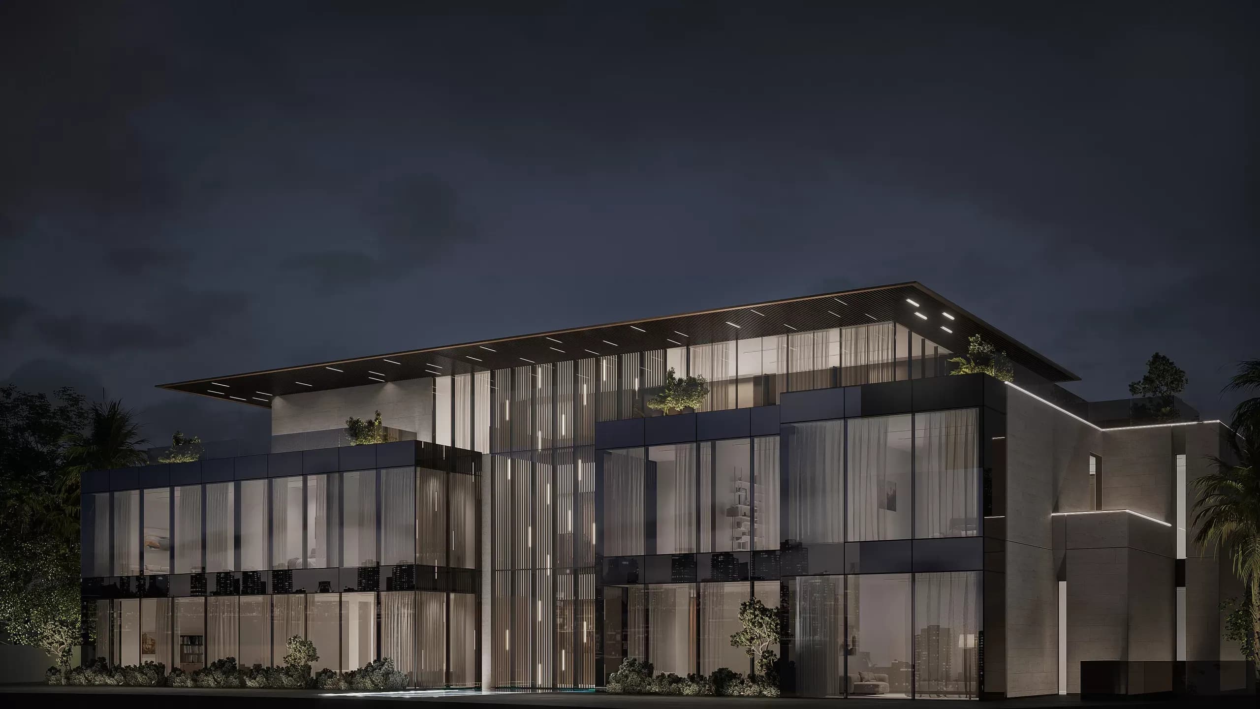 Project Image 2